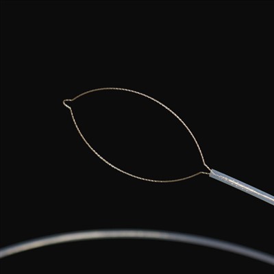 جاۋنىڭ چەتئەل گەۋدىسىنى تىپى